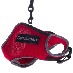 Trixie Harnais + Laisse XCat